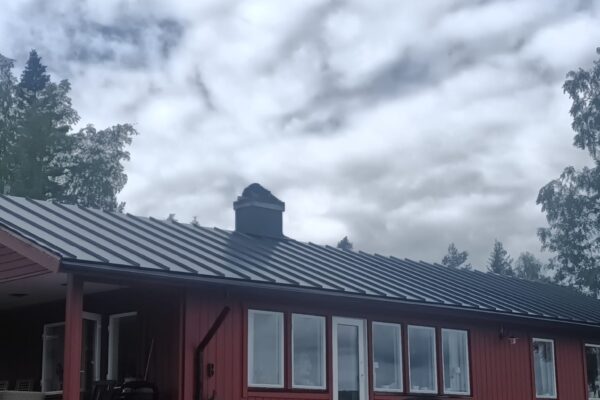 1000060387