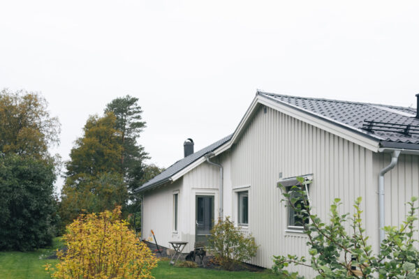 image00006